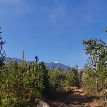 アパート Pirin Golf Cozy