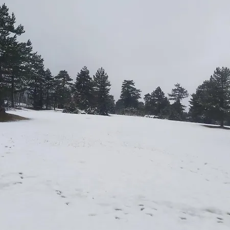 Pirin Golf Cozy アパート ラズロク