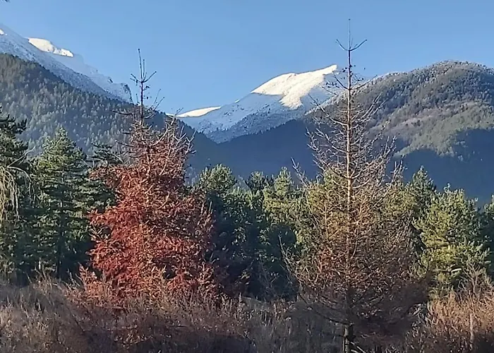 Pirin Golf Cozy Lejlighed *