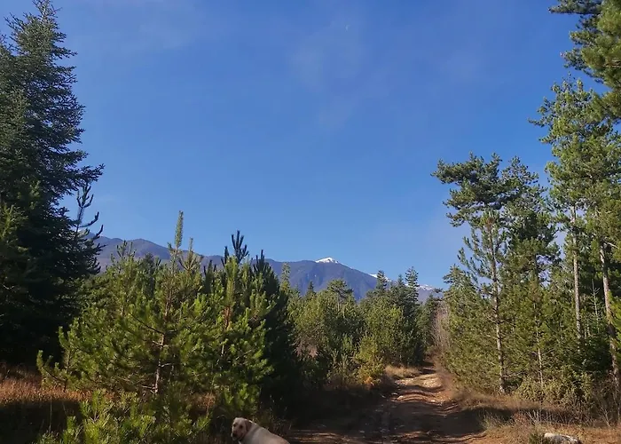 Lejlighed Pirin Golf Cozy