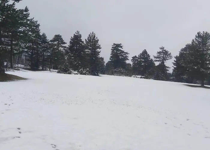 Pirin Golf Cozy Lejlighed Razlog